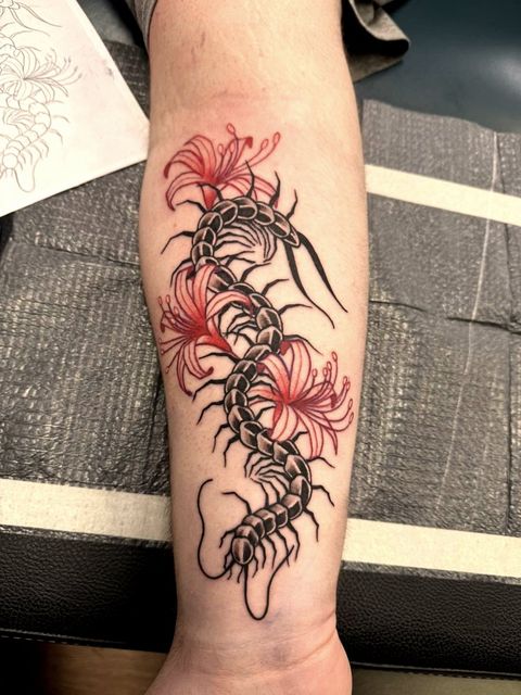 Colour spider lily and centipede forearm
